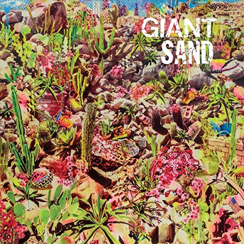 CD cover for Giant Sand’s “Returns To Valley Of Rain” with desert flora.