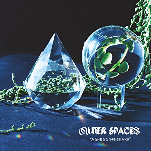 Vinyl album cover with crystal shapes and green plants on dark blue.