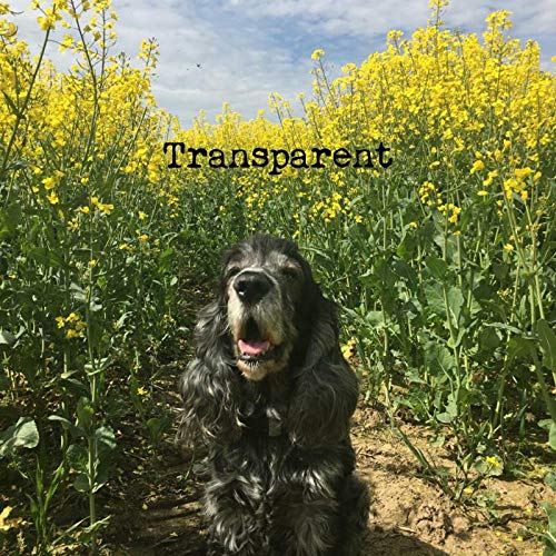 A black and gray dog sits in a field of yellow flowers.
