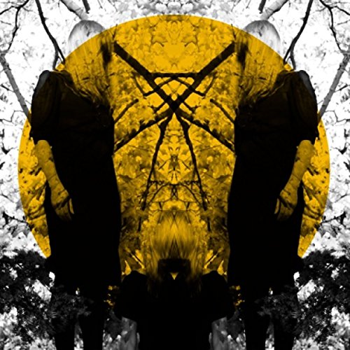 Austra album cover: mirrored figures against a yellow and white background.