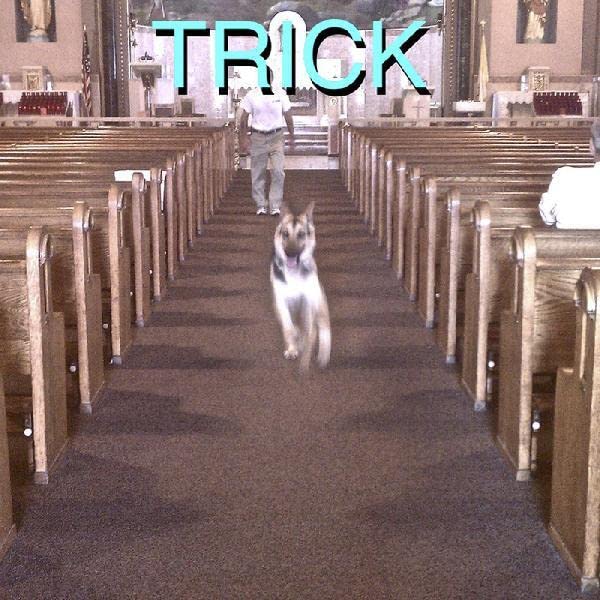 Vinyl album cover for Alex G’s “Trick” featuring a dog in a church.