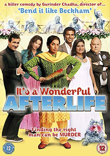 DVD cover for “It’s a Wonderful Afterlife” featuring a group and a dog.