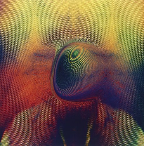 The image is an abstract, distorted representation of a person's face. The alt text for this image could be: "Distorted, colorful image of a face with a prominent eye."
