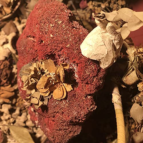 Close-up of a textured red rock surrounded by dried flowers.
