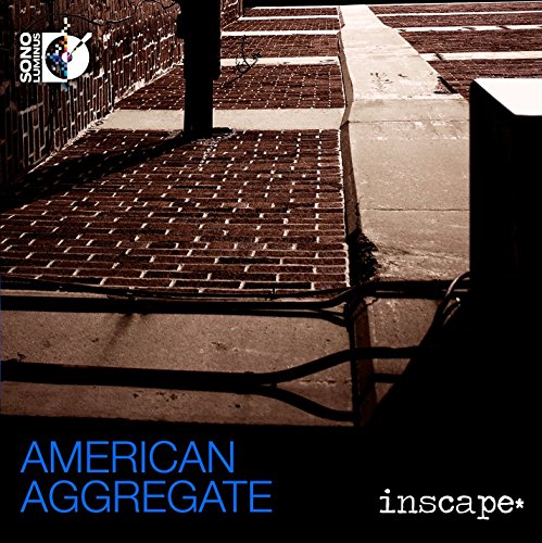 "Image of a brick sidewalk with shadows, featuring 'American Aggregate' text in blue."