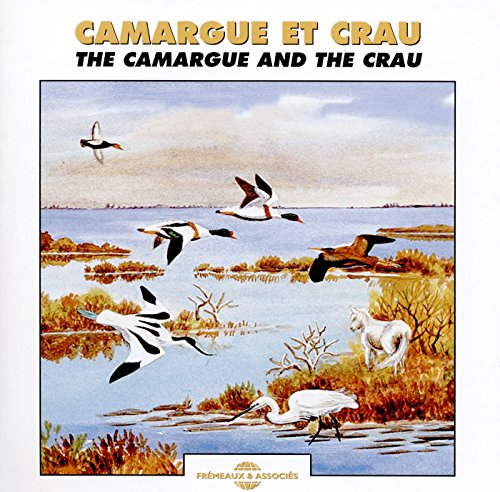 CD cover with painted image of birds flying over wetlands and a horse.