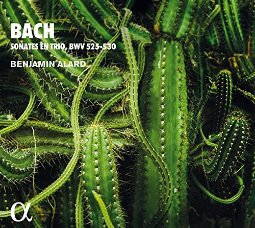 CD cover for Bach trio sonatas by Benjamin Alard, featuring cacti.