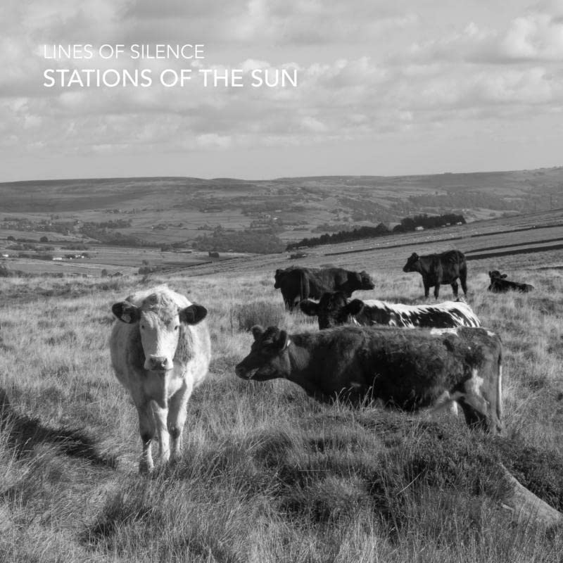 Black and white album cover with cows in a grassy landscape.