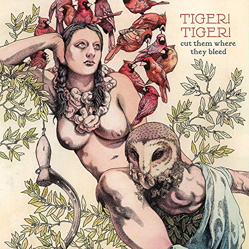 Vintage-style album cover with woman, birds, owl, and foliage.