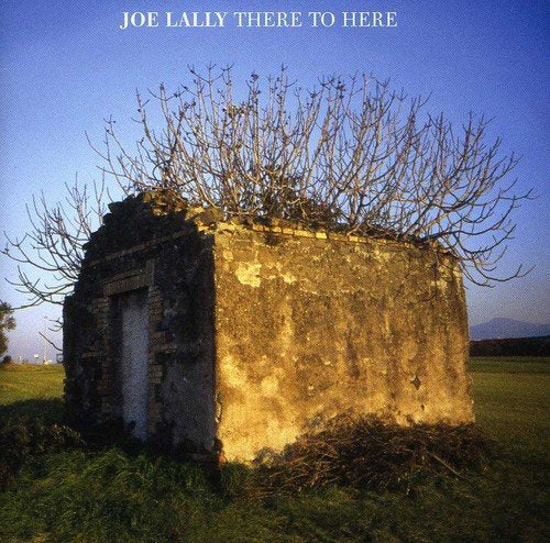 "Album cover featuring a small, weathered stone structure with bare branches on top."
