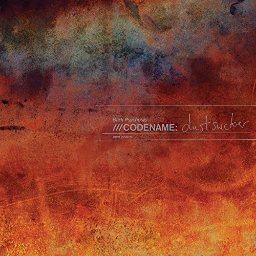 Abstract album cover with textured orange, red, and blue rust-like patterns and white text.