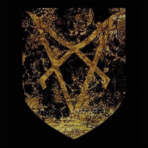 Dark shield-shaped cover with gold, textured, abstract symbol.