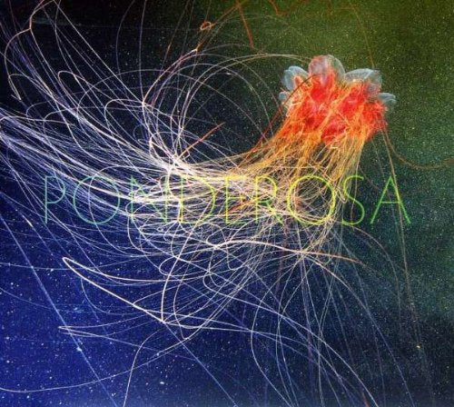 Album cover with a jellyfish-like shape and abstract, swirling lines on a dark background.