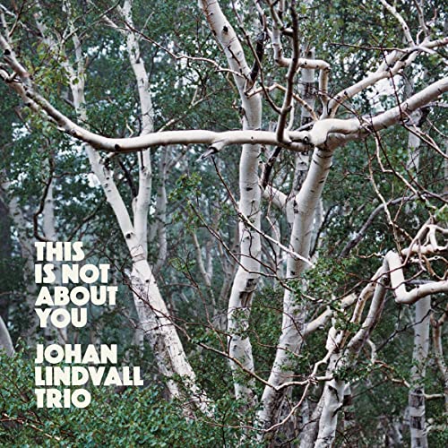 CD cover with birch trees and text: “This Is Not About You”.