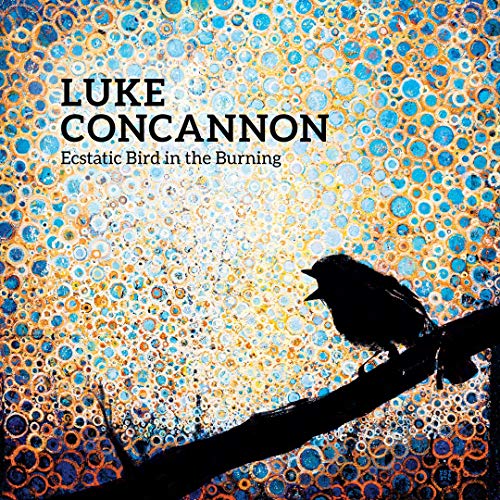 Album cover: black bird silhouette on abstract blue and orange background.