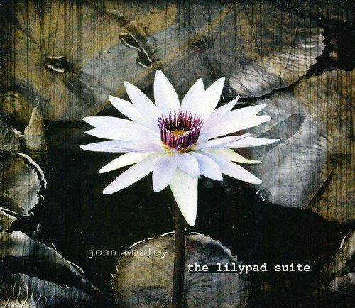 CD cover with a white lily flower on a dark, textured background.