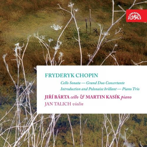 Chopin CD cover featuring a white text box on a background of white branches.