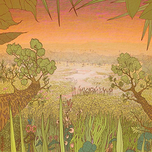 "Album cover art: serene landscape with trees, grass, and a body of water."