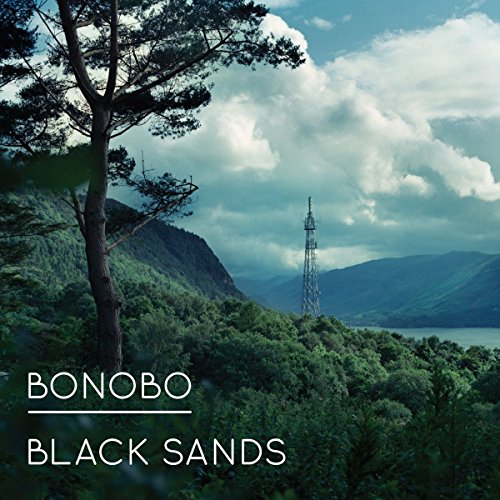 "Album cover with a serene forest landscape and a tall metal tower in the distance."