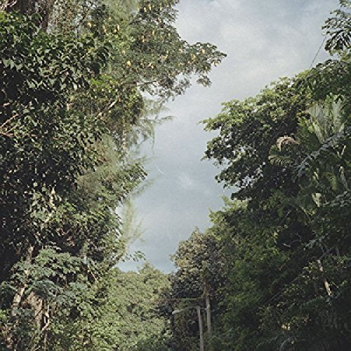 The alt text for the image is: "Dense lush green forest with trees and cloudy sky."