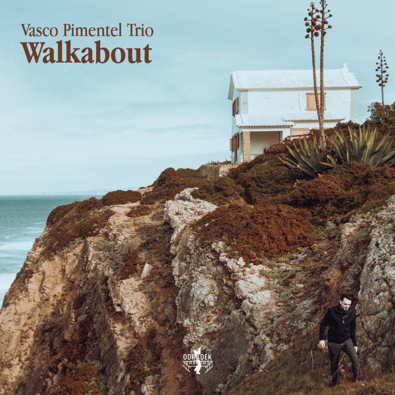 CD cover: coastal landscape with a house, man, and text “Walkabout”.