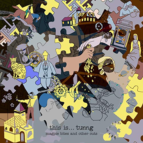 Vinyl album cover with jigsaw puzzle artwork and text "this is... tunng magpie bites and other cuts".