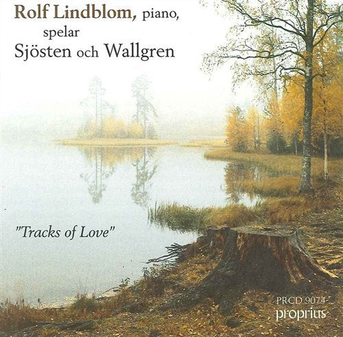 "Album cover featuring a serene lake scene with autumn trees and misty atmosphere."