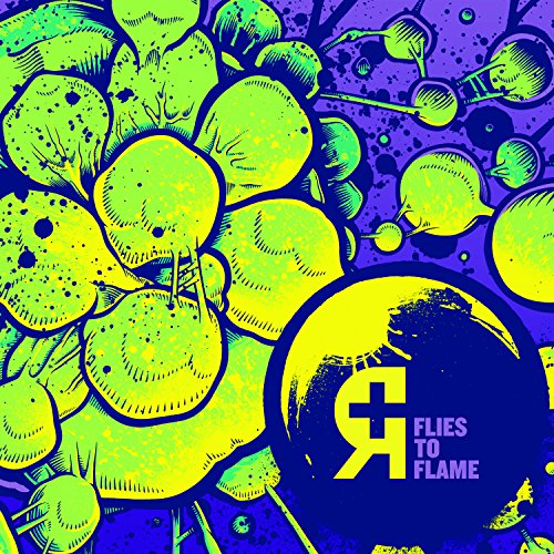 The image shows a CD cover with a blue and yellow insect-themed design.