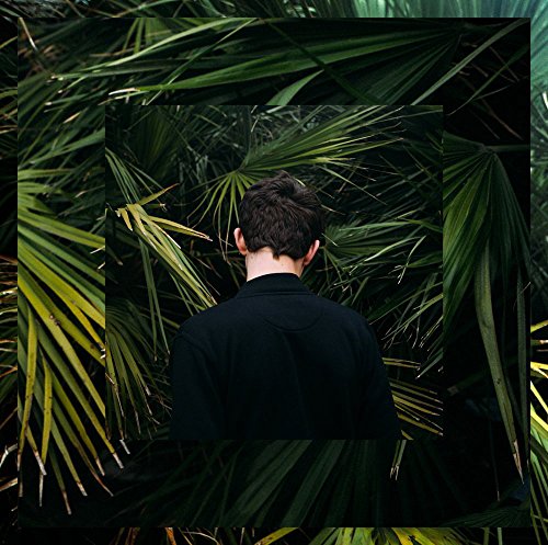 Man in black shirt stands amidst lush green palm fronds, facing away from the camera.