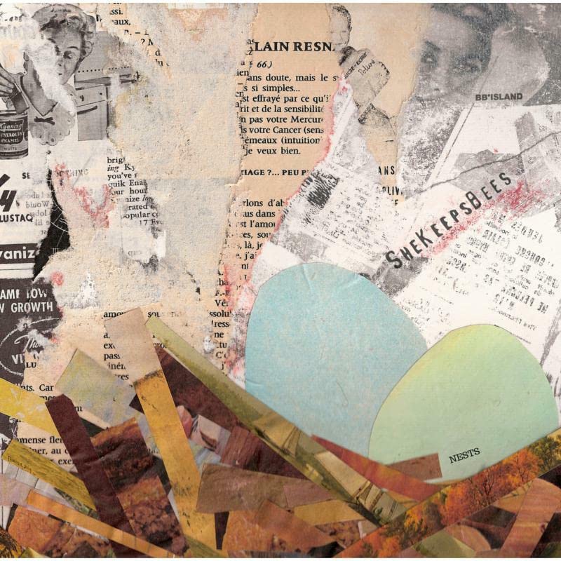 Golden vinyl record with collage artwork, titled "She Keeps Bees - Nests".