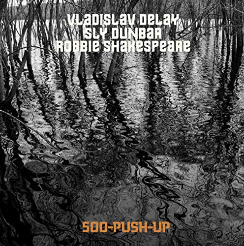 Album cover for Vladislav Delay & Sly Dunbar, featuring a mirrored forest scene.