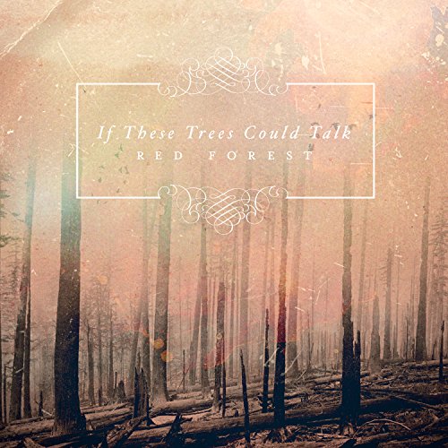 Album cover with a forest scene and white text overlay.