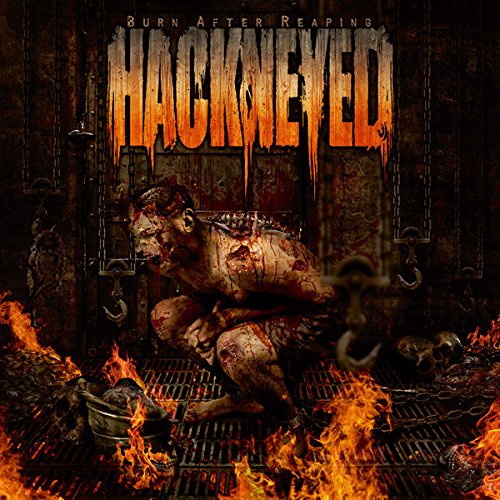 "Album cover art: gruesome, bloodied figure on a grill surrounded by flames."