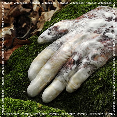 CD cover: a sculpted hand rests on vibrant green moss.