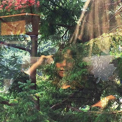 CD cover with a blurred, ghostly face emerging from foliage.