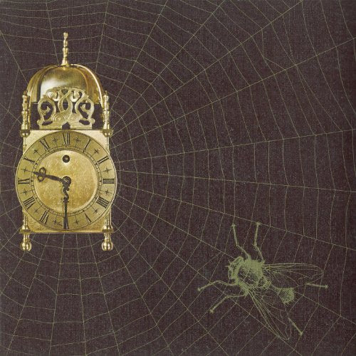 Antique clock with spiderweb background and a small fly illustration.