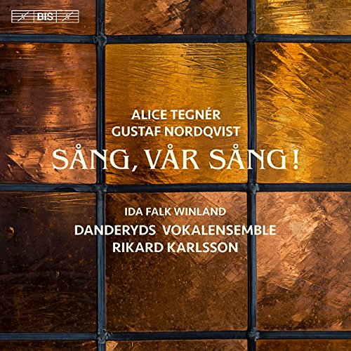 "Album cover with stained glass window design and white text on a brown background."
