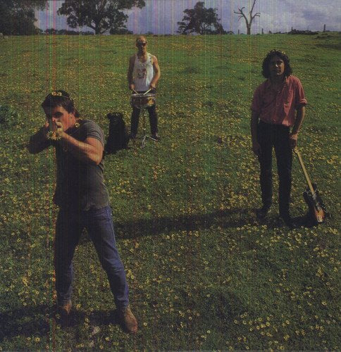 Three men with instruments stand in a field of yellow wildflowers.