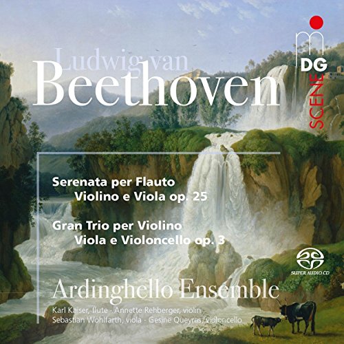 A CD cover featuring a serene waterfall scene with Beethoven's music and ensemble details.