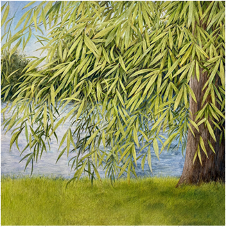 Painting of a green willow tree weeping over water and grass.