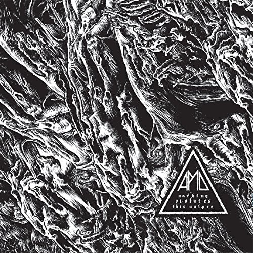 Black and white abstract album cover with a triangle logo and text overlay.