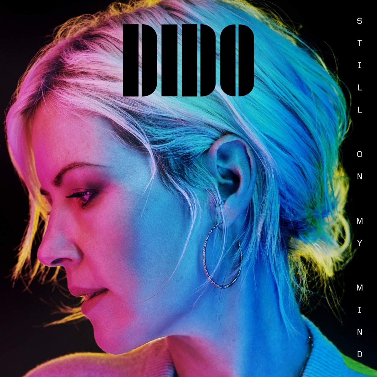 "Dido album cover: woman's profile in neon colors, with 'Dido' and text on black background."