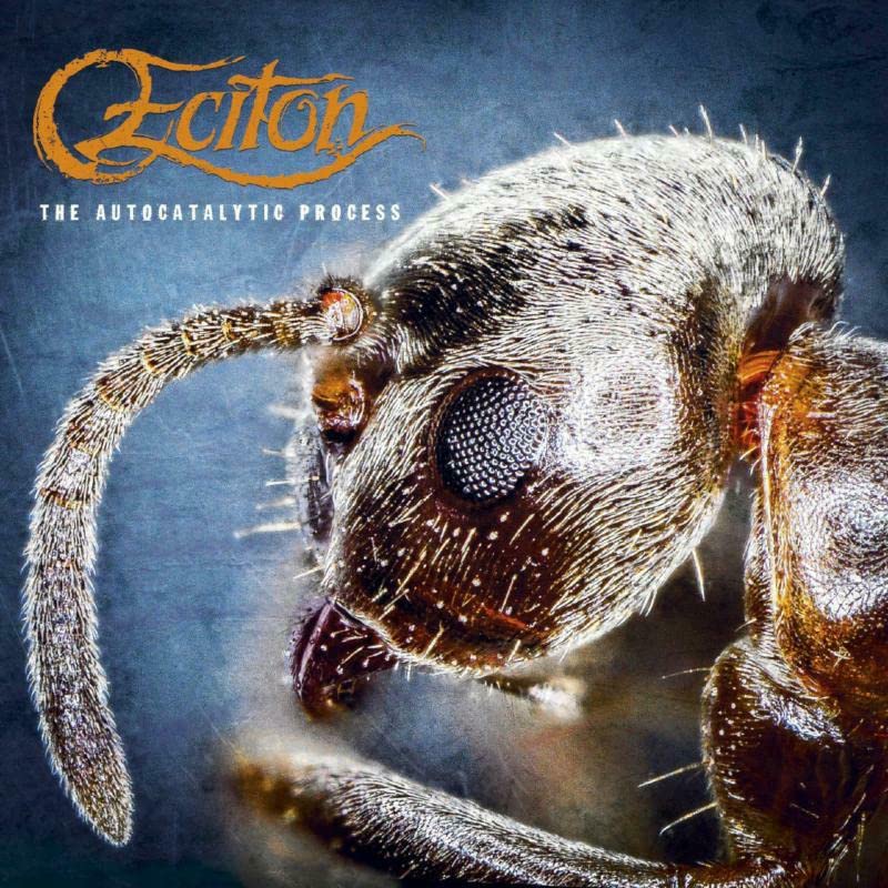 CD cover featuring a close-up of an ant’s head and orange logo.