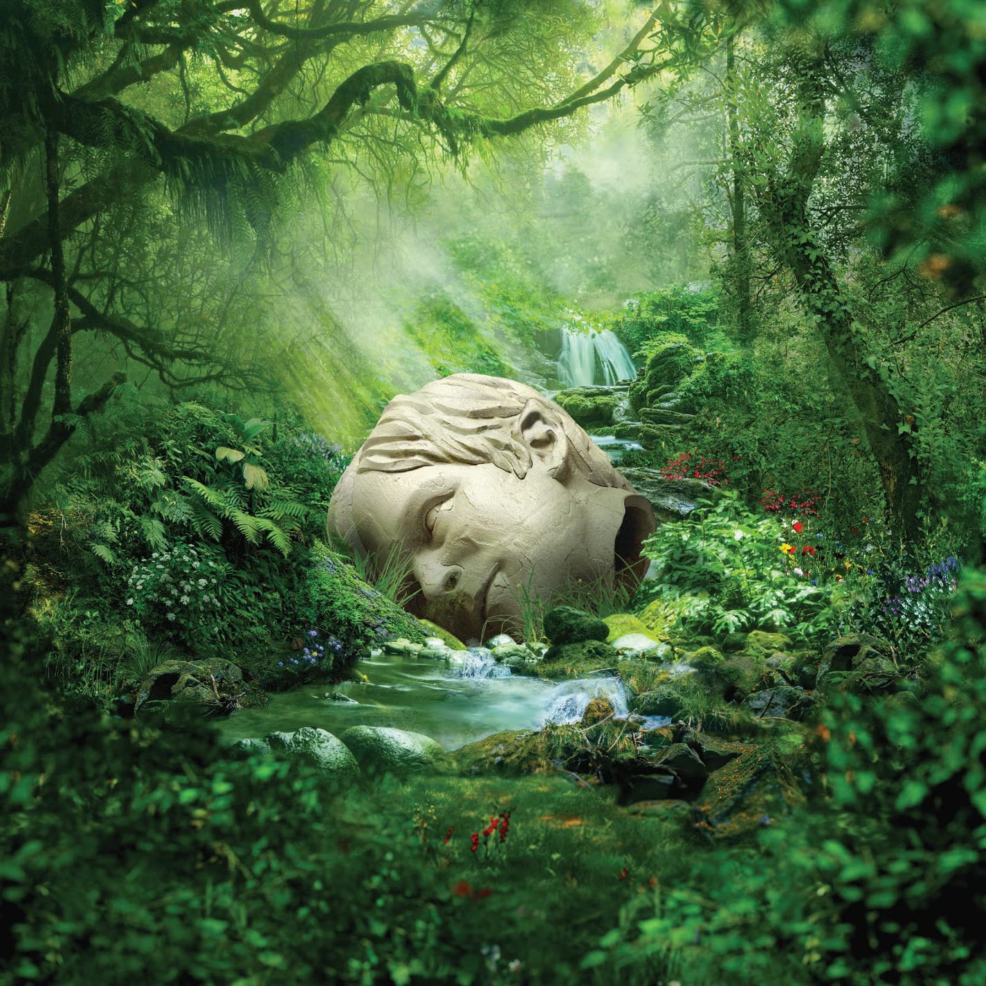 A CD cover featuring a serene forest scene with a large, wrapped object.