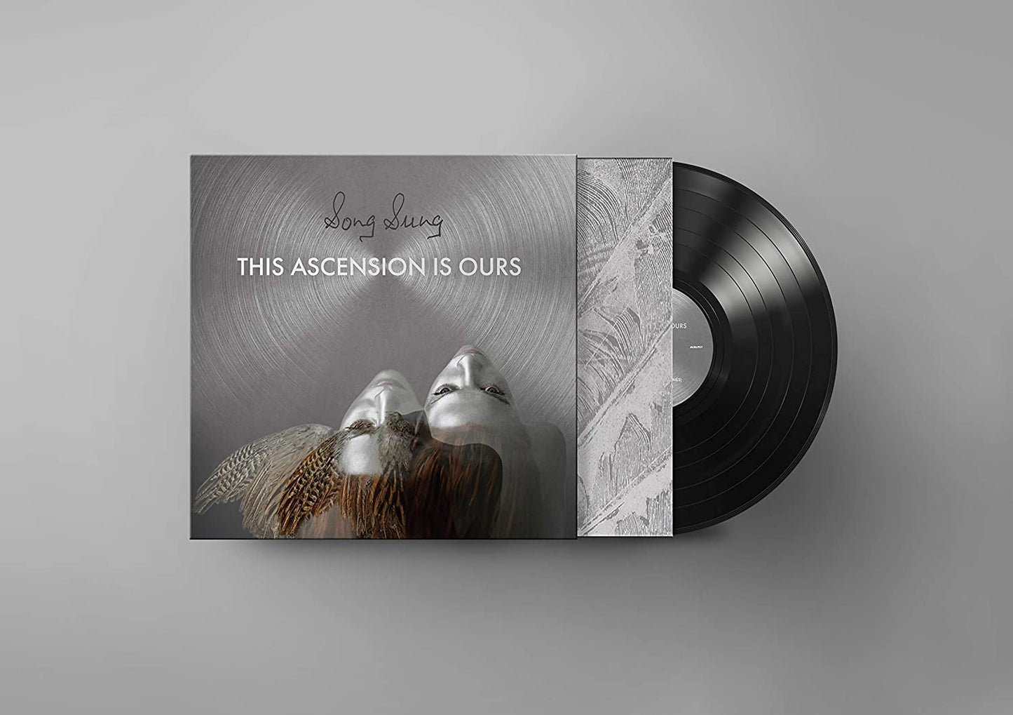 A vinyl album cover with two silver heads and feathered wings on a gray background.