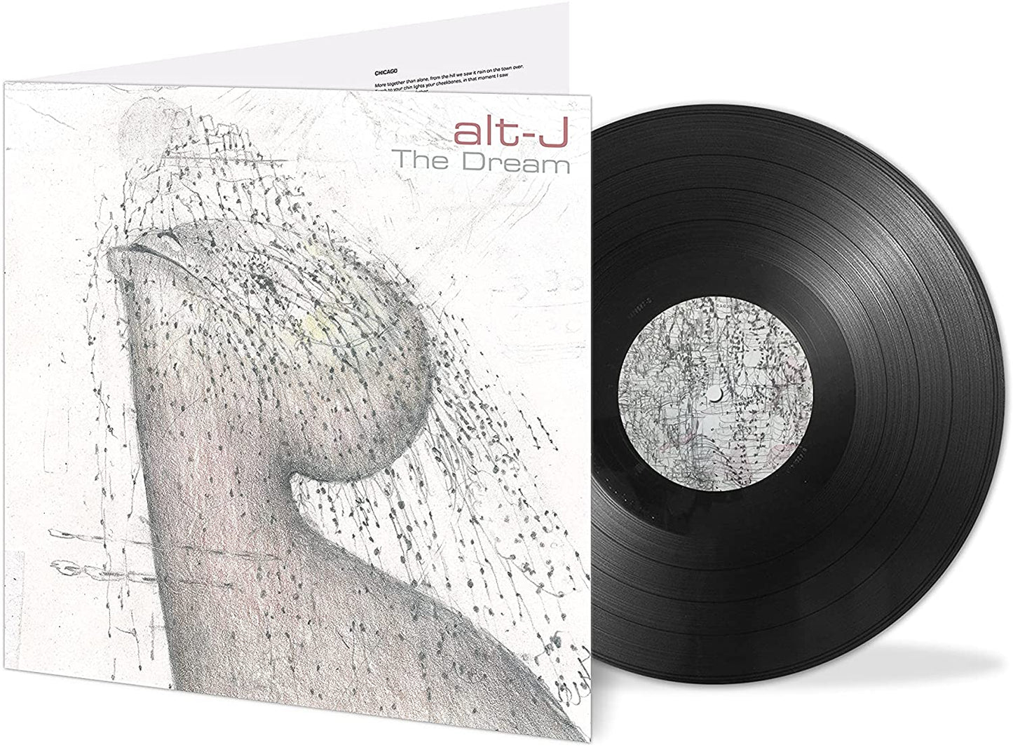 Alt-J album cover: sketch of a bird’s head with abstract lines.