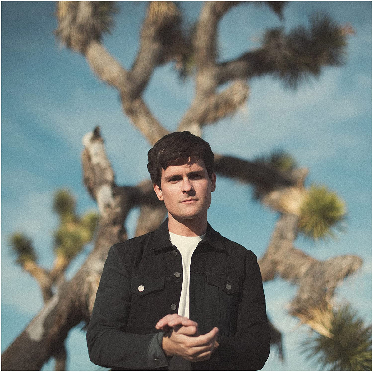 CD cover featuring Tom Speight in front of palm trees.