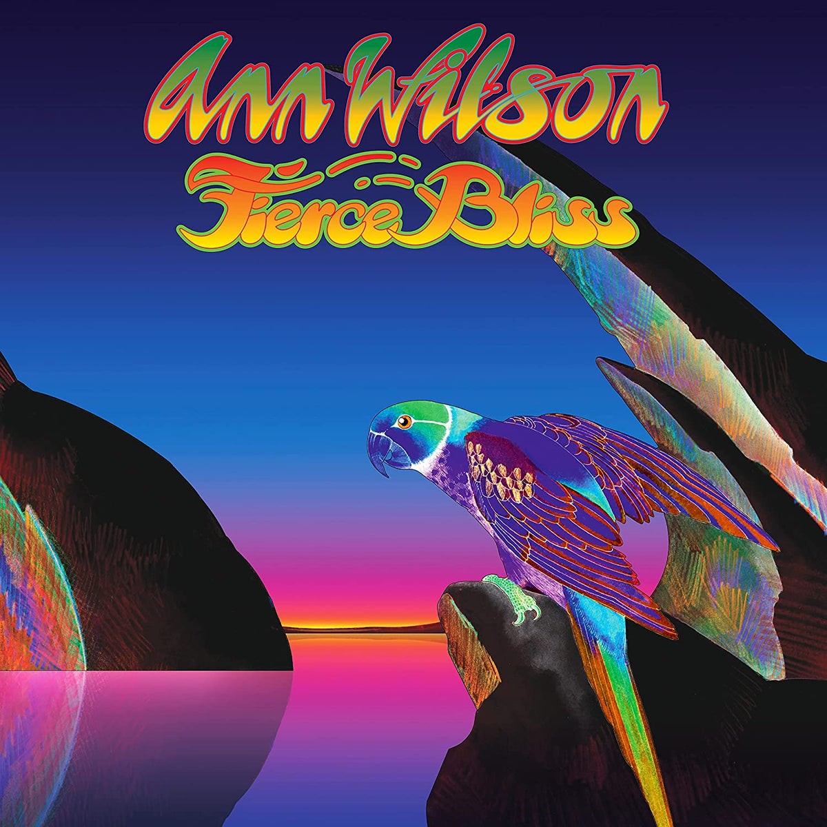 Ann Wilson’s “Fierce Bliss” CD case and disc with colorful abstract art.