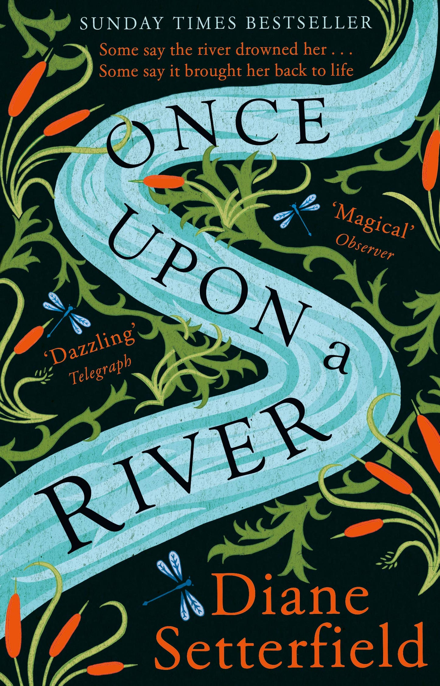 "Book cover with a winding river, dragonflies, and foliage on a black background."