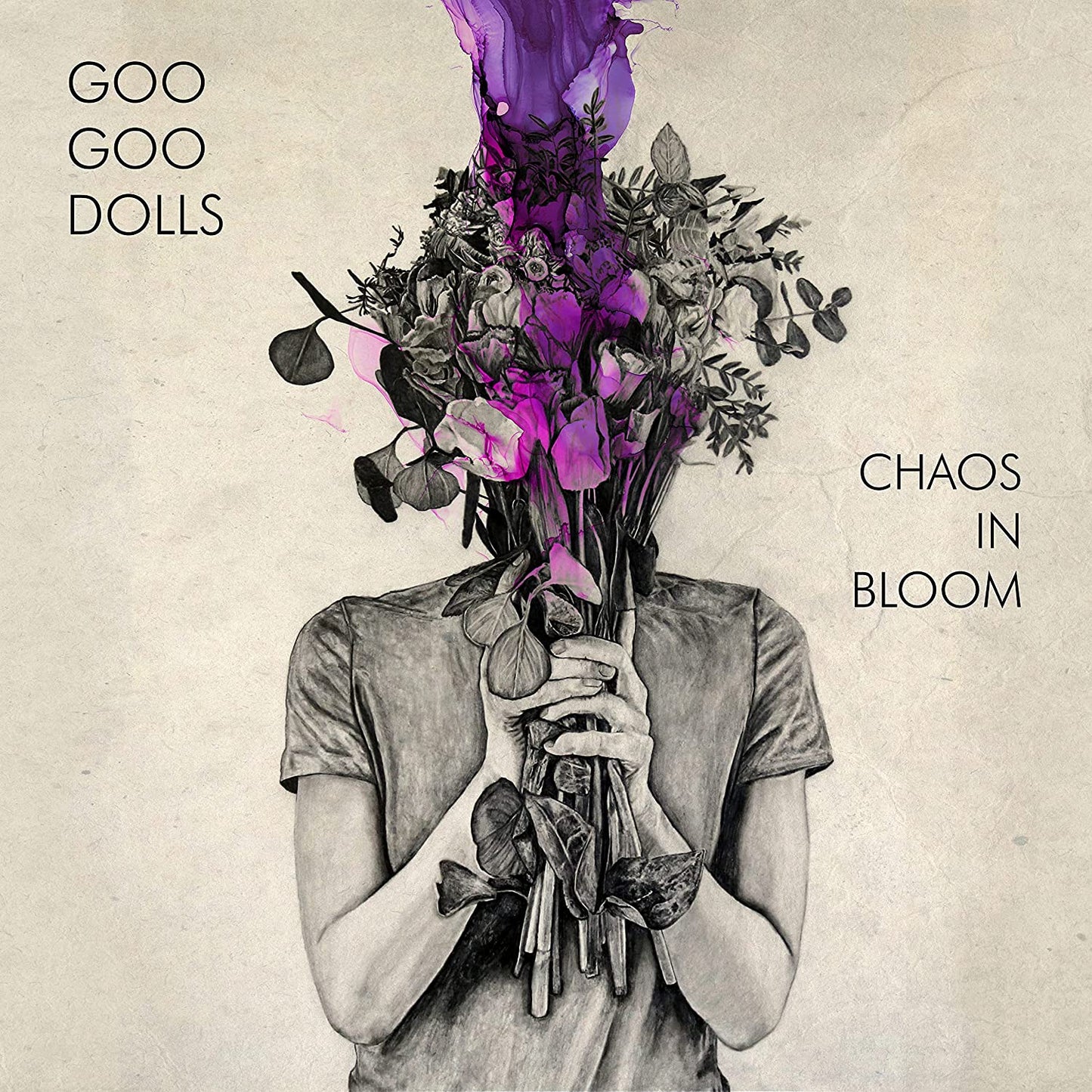 "Album cover featuring a person with flowers for a head, text 'Goo Goo Dolls Chaos In Bloom'."